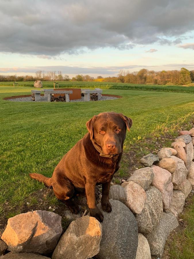 Meldbjerg Villa Stouby Exteriör bild