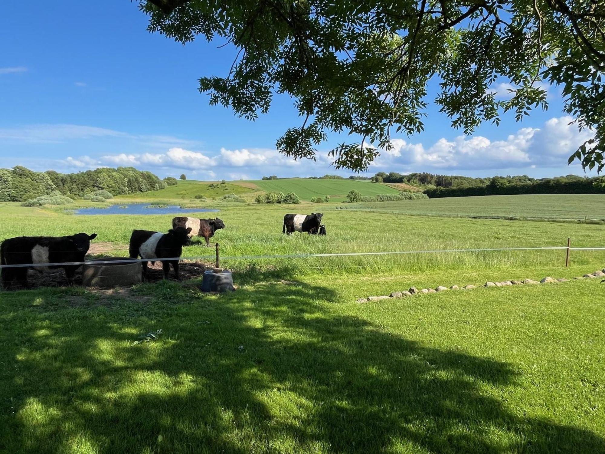 Meldbjerg Villa Stouby Exteriör bild
